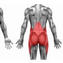 골드에스 휘트니스, 필라테스 서초점 이미지