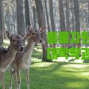 대구축협가축인공수정소 | 대학학과탐방 - 동물자원학과 - 2021 입학경쟁률, 취업률, 첫월급, 학과특성, 교과목, 관련자격, 관련직업