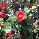 이순희농장 이미지