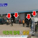 별 경매장