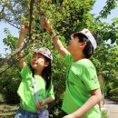 산흥초등학교 이미지