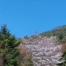 궁지골농원 이미지