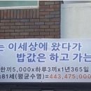 하안동꿀주먹 이미지
