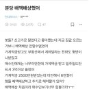 분당-164 이미지