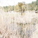 농산별업 이미지