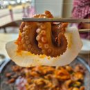 양이조아