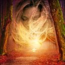 알라딘샵 이미지