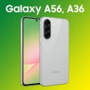 A36 이미지