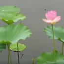 길게임장 이미지