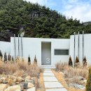 루오스테이 수월 | 경북 청도 애견펜션 루오스테이 강아지 수영장 풀빌라 독채 수월 3호