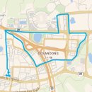 아티스트 인 대구 <김세현> | [공지] 대구 GPS 아트런 코스 추천: 배 아래 닻을 내리자! 배 모양 '둥둥런' 2탄 ⚓ (마스터 코스)
