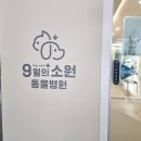 9월의 소원 동물병원 이미지