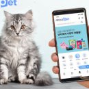 지에스펫 이미지