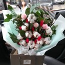 수원-0355 이미지