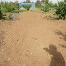 동강농장 이미지