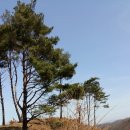 무진장농원 이미지