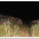 달빛산장 이미지