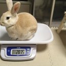 하동코리아짚와이어 네이버블로그