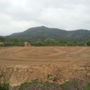 인근농장 이미지