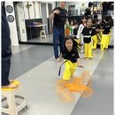 도마효태권도장 이미지