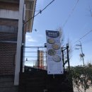 사파동186 이미지