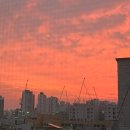 소영씨네집 | 8월 2번째