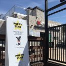 더블유펫 이미지