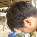 상일톱밥 이미지