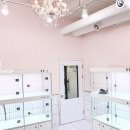 링크애견샵 이미지