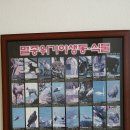 박달초병설유치원 이미지