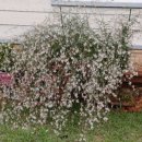 아띠펜션민박 이미지