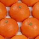 예성농장 이미지