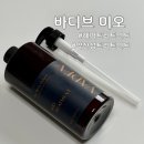 아모르미오헤어&스파 | 바디브 미오 트리트먼트 베이 베리 오차드 후기, 올바른 헤어 트리트먼트 사용법