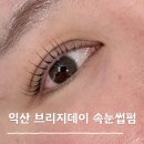 동산동-24 | 익산 동산동 속눈썹펌 추천,브리지데이 화장 안 해도 또렷한 눈매