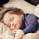 (소도구) 테라피 요가 이미지