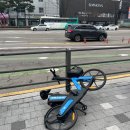 의병대로14길 | 3월 첫째주 휴무날 vlog