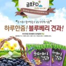 ▶블루베리 하루견과 - 50봉 ▶건강한/고소한 ^아침곡물^~~ 통 곡물 다이어트 / 간식용 / 한끼식사대용 ~~할인행사합니다. 이미지