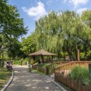 여의도약국 이미지