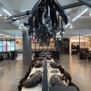 공간정리전문가(목) 이미지