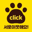 왈가닥펫 이미지