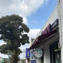 룡천 | 제주 오라동 애향운동장 근처 맛집 추천 룡천왕갈비탕 내돈내산 후기