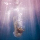 The김밥천국 이미지