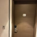 노보텔 앰배서더 호텔 수원 임산부 수원역 호캉스 대만족 후기