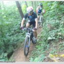 거북이주유소 이미지