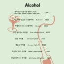 바베큐홀리델리