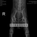 한라동물종합병원 이미지