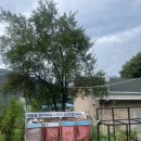 노루목 68 이미지