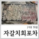 기장회포차 이미지