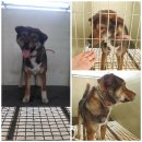 기안초교 이미지