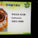 코끼리푸드 이미지